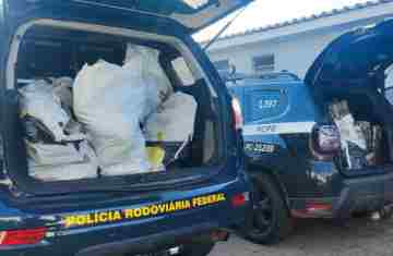Guaraniaçu - PRF apreende mais de 211 quilos de maconha em veículo acidentado